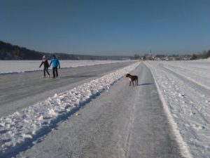 IMG_20170123_135038